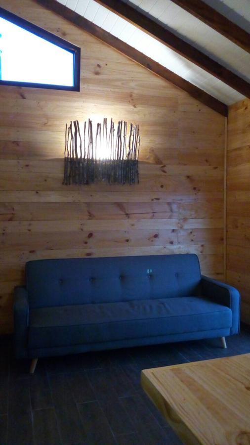 Lackuntur Pucon Departamentos Εξωτερικό φωτογραφία